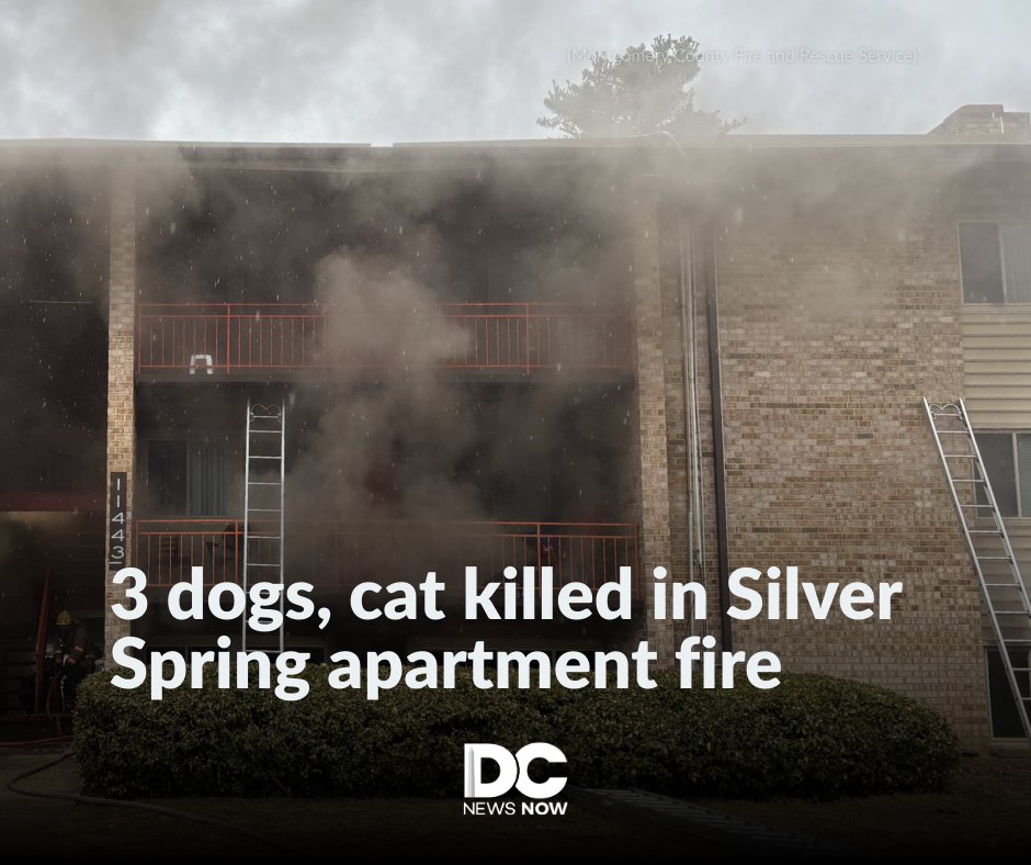 DCNewsNow's tweet image. Montgomery County firefighters worked to put out an apartment fire Sunday afternoon that left three dogs and one cat dead. dcnewsnow.com/news/local-new…