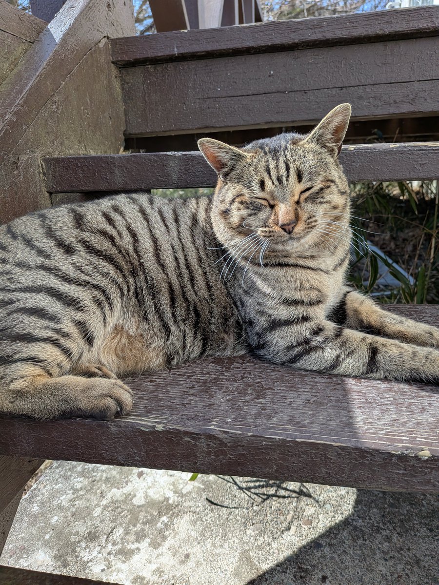 TKW jepang tweet media