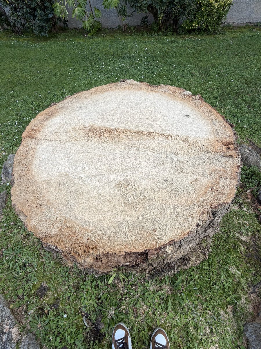 Ana Santos 💡👩🏻💻 tweet media