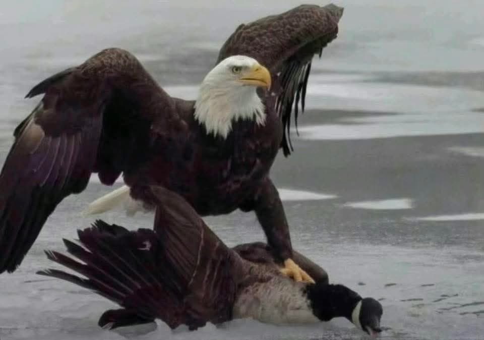 Rob Welcher tweet media