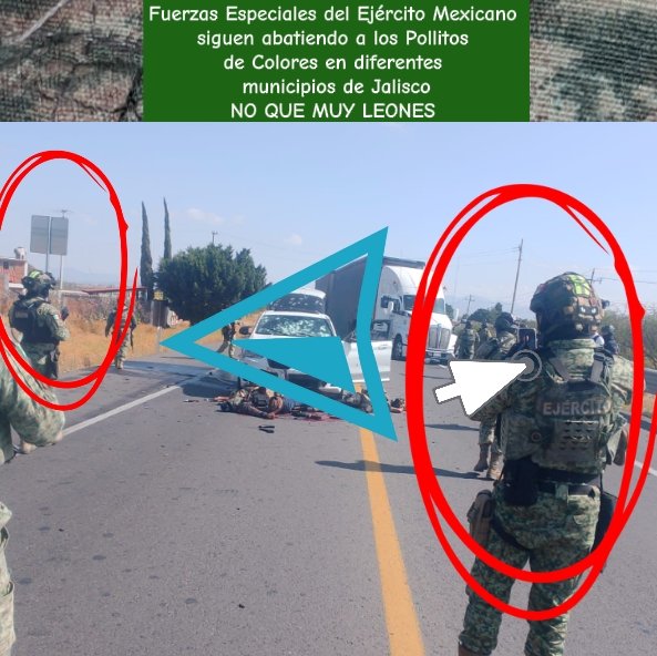 Soyreal1_'s tweet photo. Fuerzas Especiales del #EjercitoMexicano siguen neutralizando Pollitos de Colores en diferentes municipios de #Jalisco #GuardiaNacional #Defensa #Semarmx #Elmencho https://t.co/ayzA9dcVxE