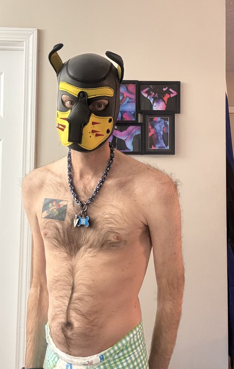 Pup Tenor tweet media
