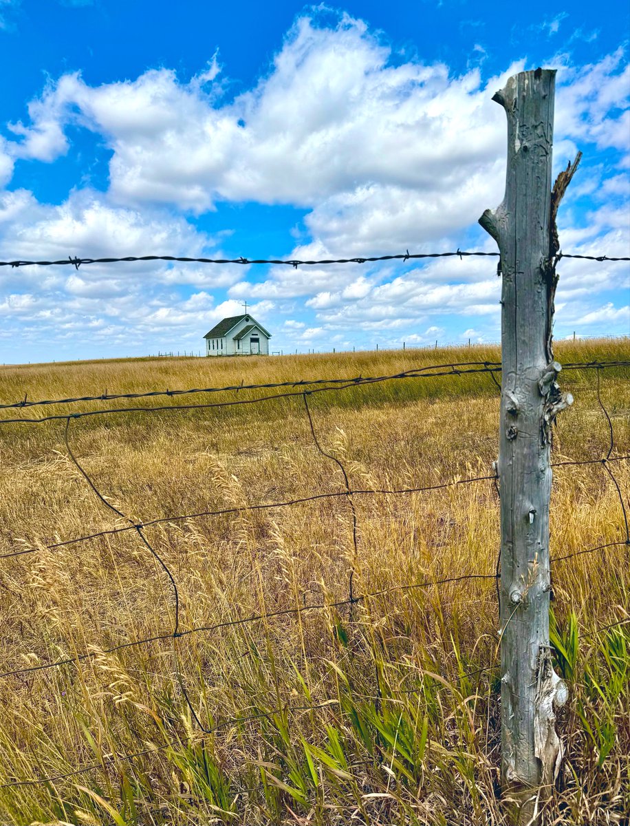 D Miller tweet media