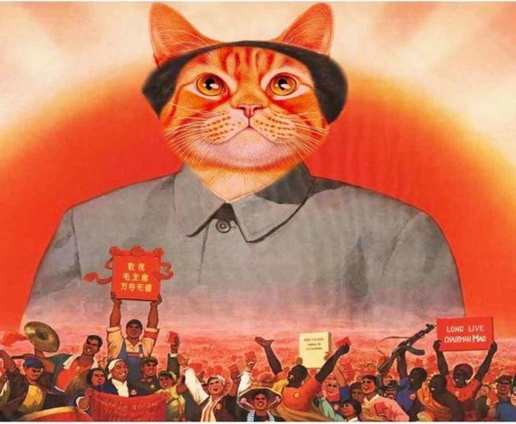 boom boom 💥 tel aviv🍐 tweet media