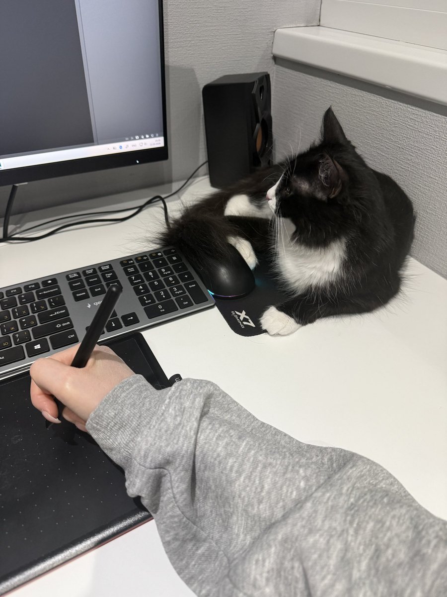 Пропавшая в варпе tweet media