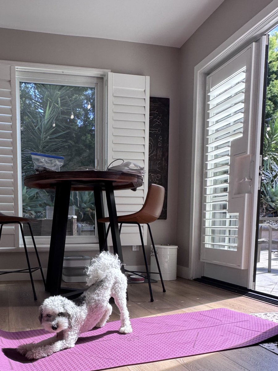 🎀 planet clarke 🎀 tweet media