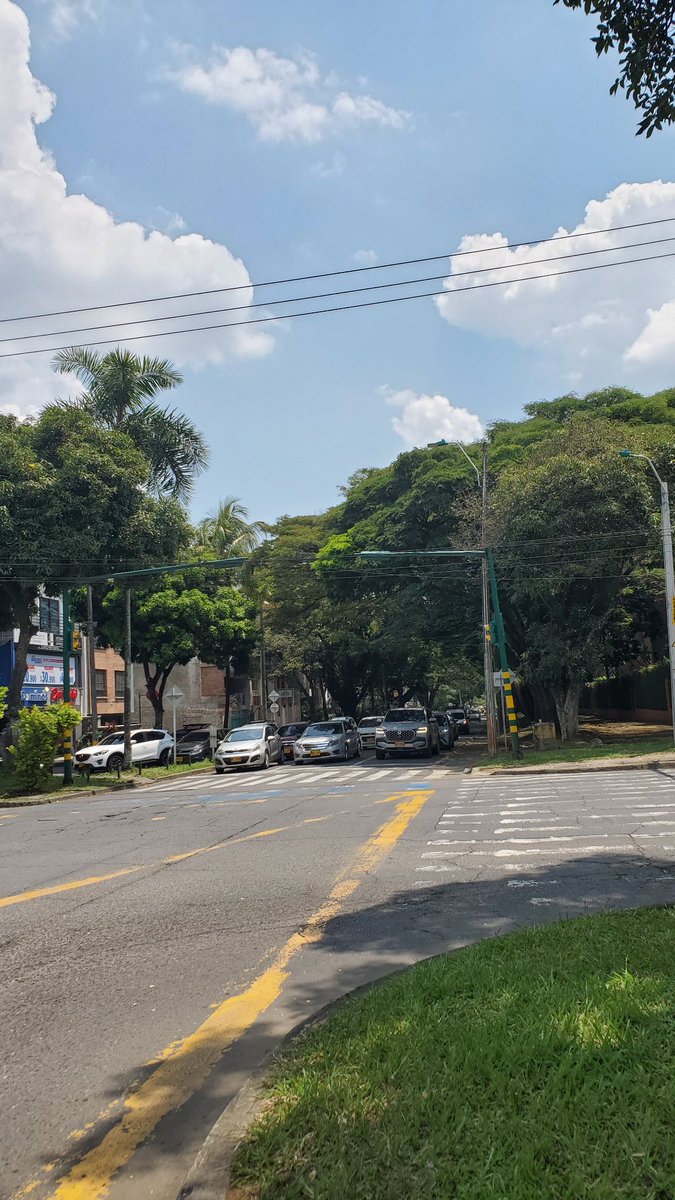 WilCh3Δ ✨️ tweet media