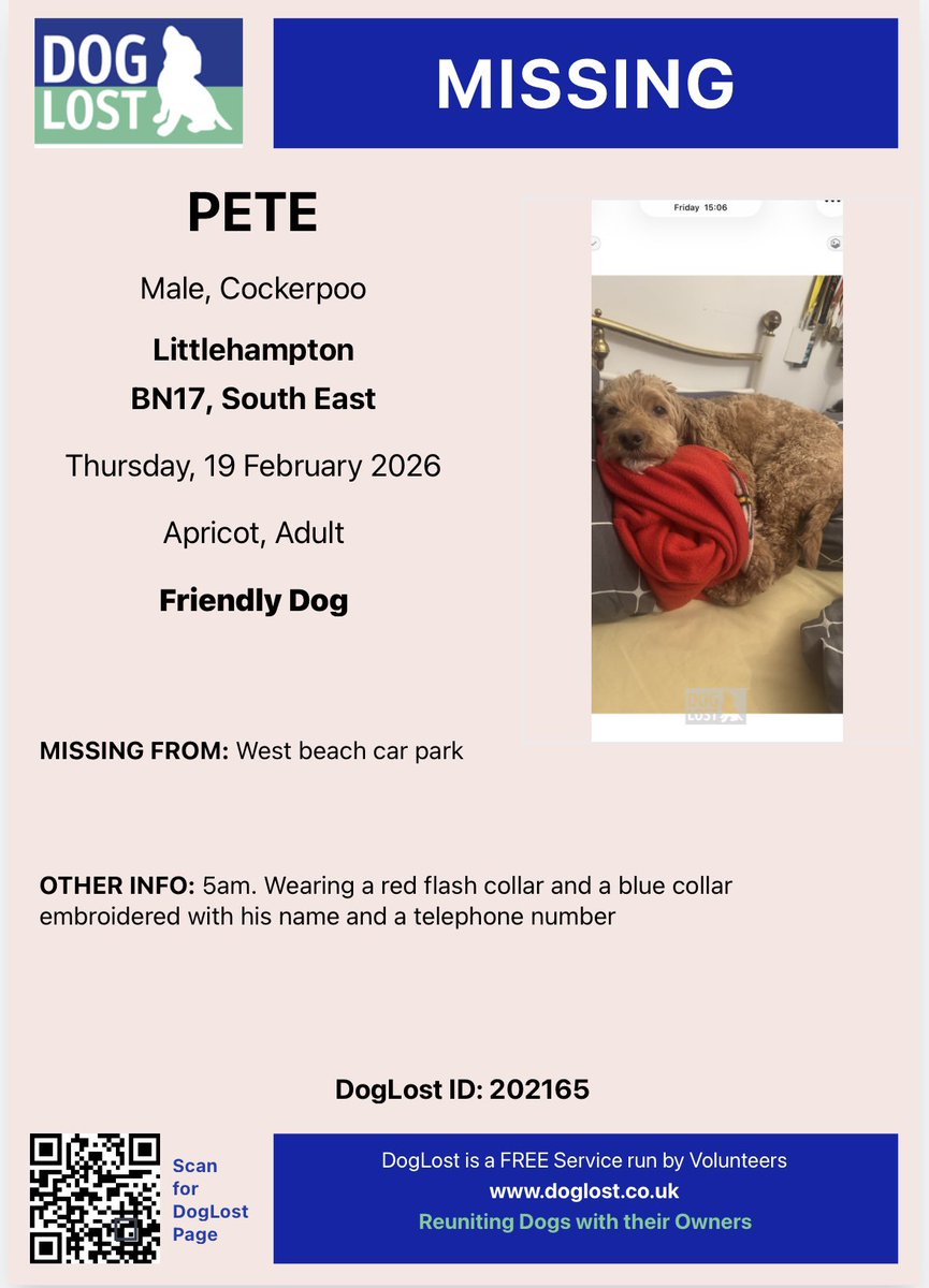 Rosie Doc tweet media