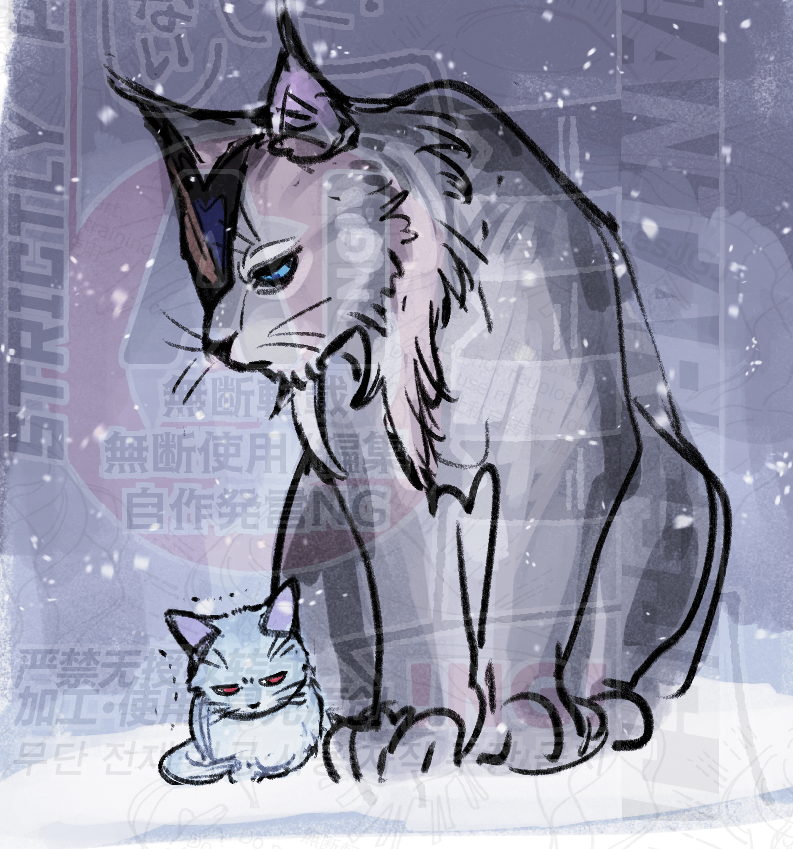 ❄️🐈