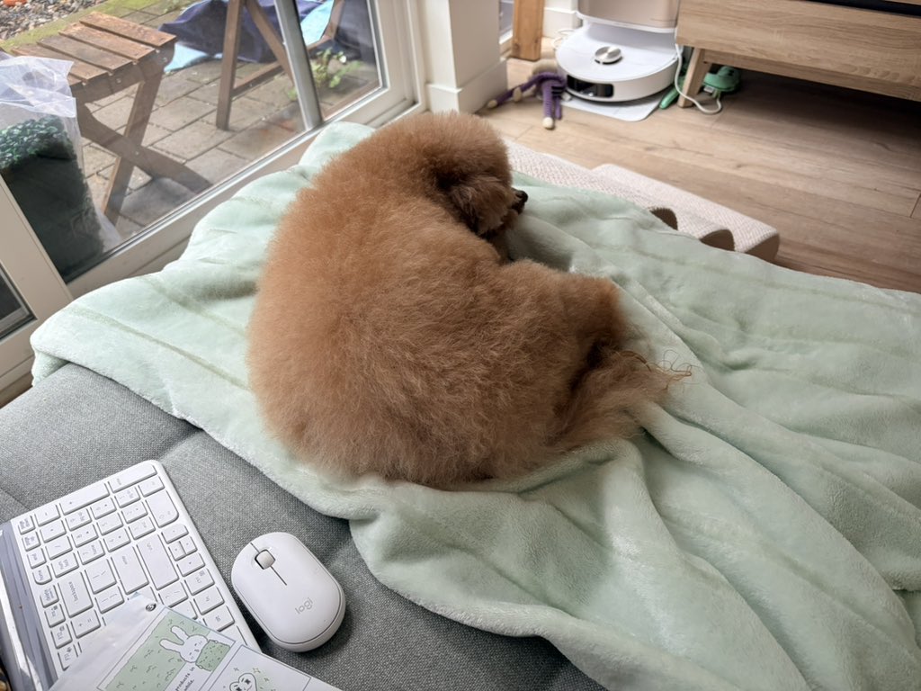 大便小多利꒰ᐡ. .̫ .ᐡ꒱ tweet media