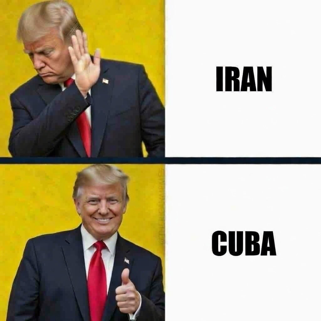 ohmygr0k's tweet photo. @LauraLoomer https://t.co/ylsB1D8jJB