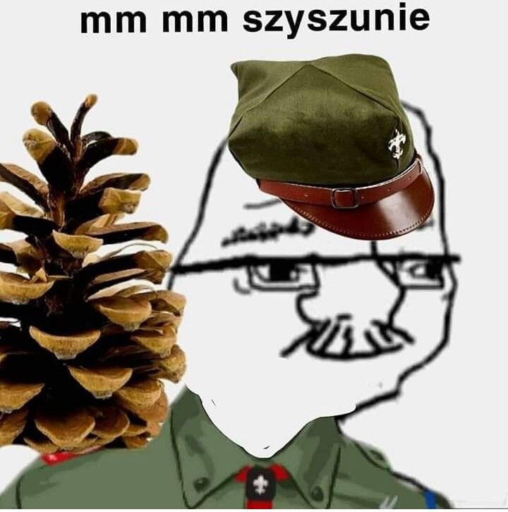 #DMB 
Wielkie czuwaj dla każdego harcerza i harcerki!!
I choć ja osobiście nie uczęszczam na harcerstwo to pamiętajcie, harcerzem się jest, a nie bywa!!!