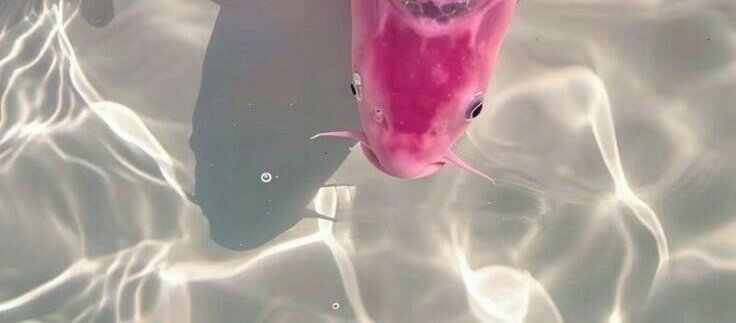 NuclearW (@nuclearww3) on Twitter photo 