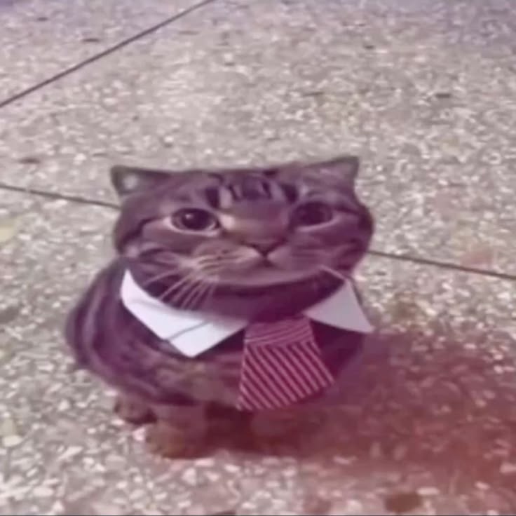 yo mi primer día de trabajo