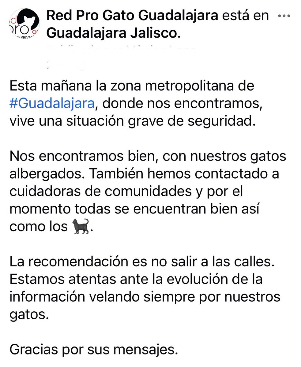 Red Pro Gato Guadalajara tweet media
