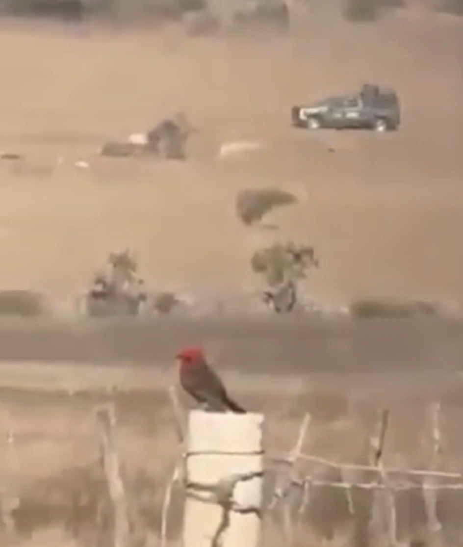 Cryptonian83 tweet media