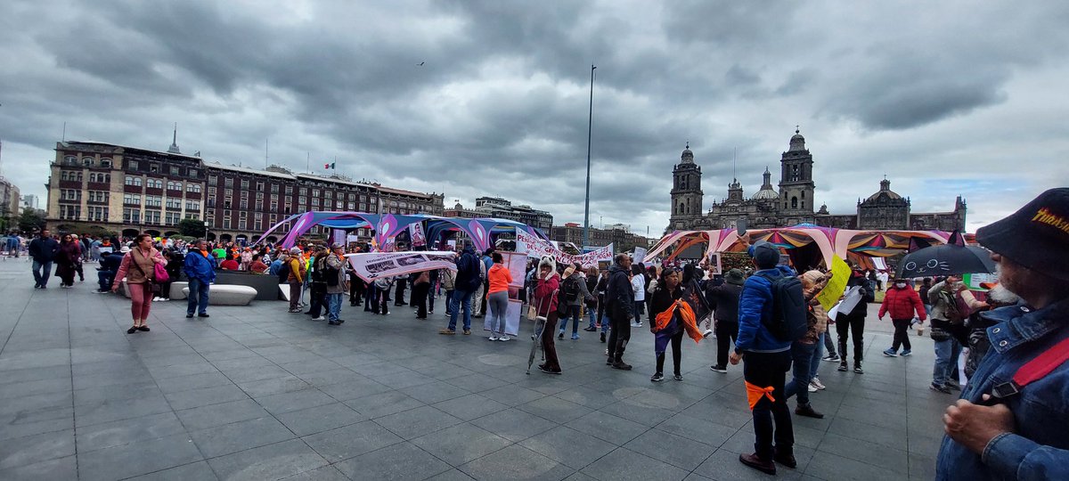 MX_Informativo's tweet photo. #Integrantesdelasociedadcivilydefensoresdelosderechosdelosanimales arribaron al Zócalo y se manifiestan en defensa de los franciscanos a y retornen a su hogar y la destitución de la Jefa de Gobierno y su gabinete por el mal manejo de los perros y gatos. https://t.co/zj0AaGaOfH