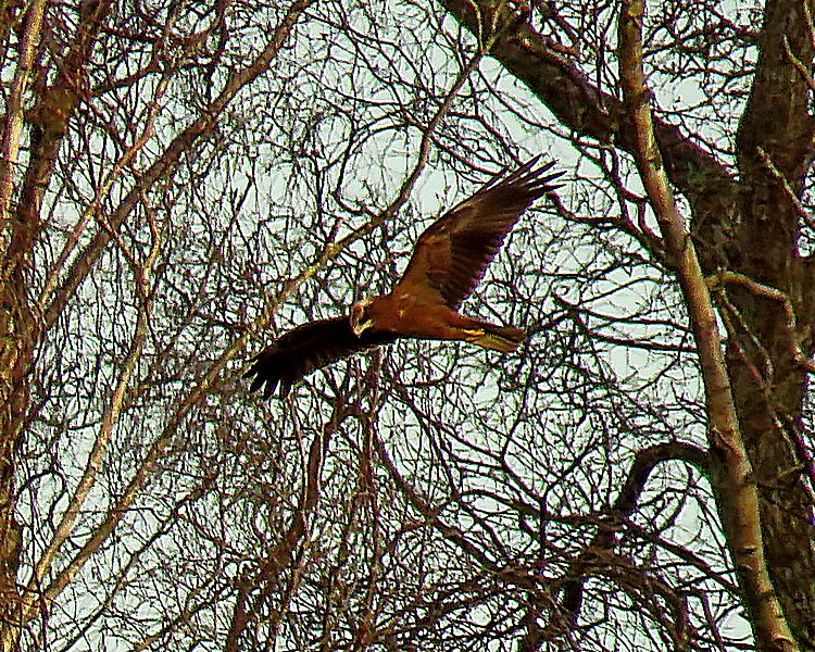 ian ballam tweet media