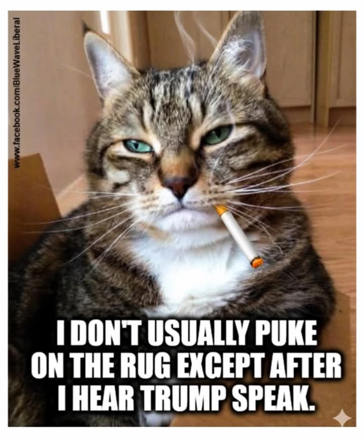 ceeceeRyder_ 🖤_ Fuck Trump (@ceecryder35) on Twitter photo 