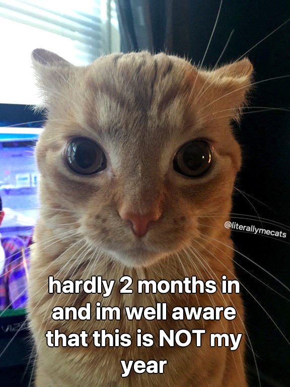 literallymecats's tweet photo. https://t.co/MdabFeTrTd