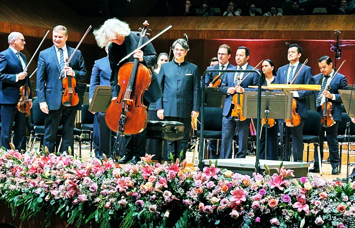 Ls salas de conciertos, ese refugio.