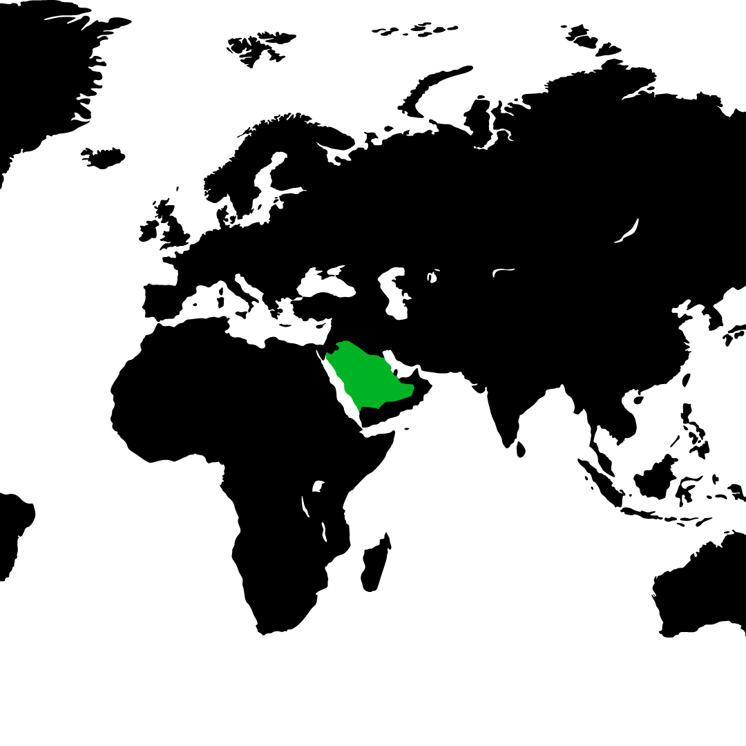 ادخل الصورة 🇸🇦