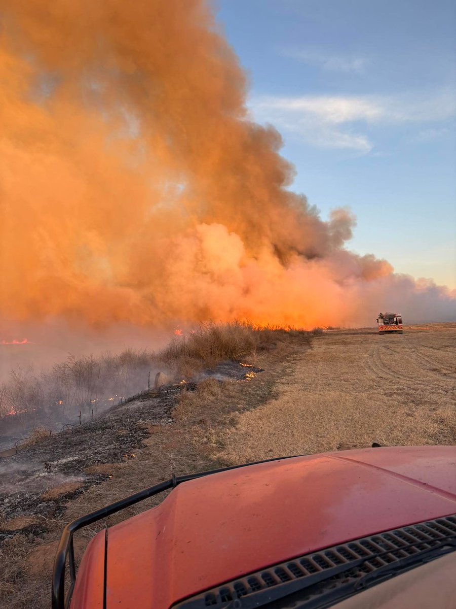 FAFO Farms tweet media