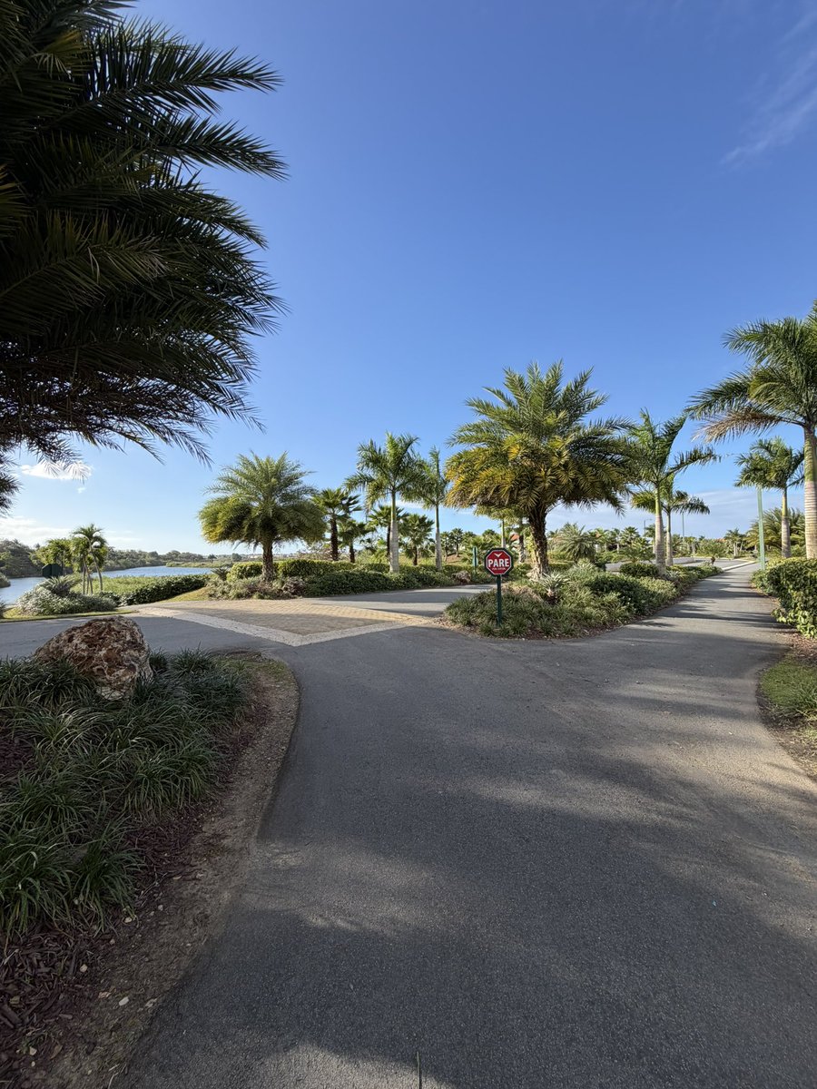 Lanto 🧲 tweet media