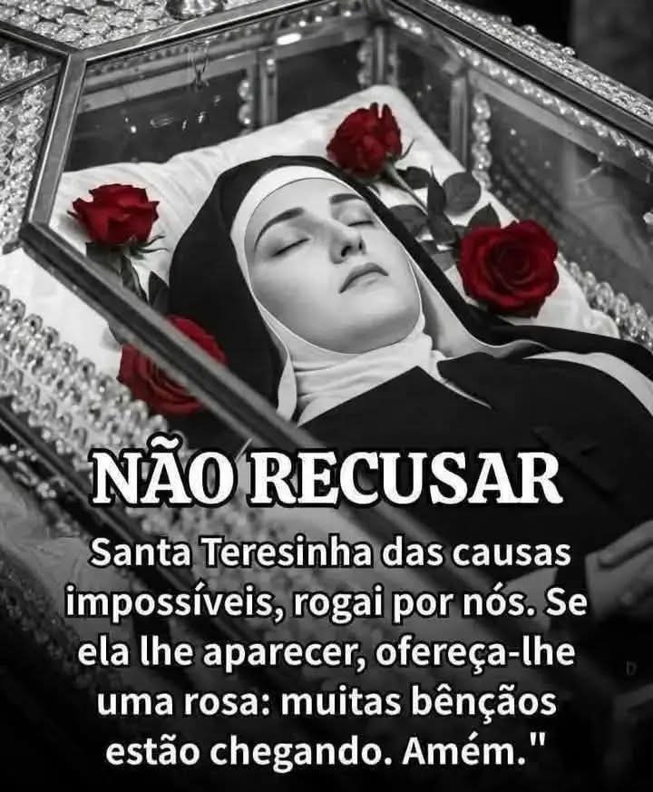 Prof. Paullo (@paulohochmuller) on Twitter photo 