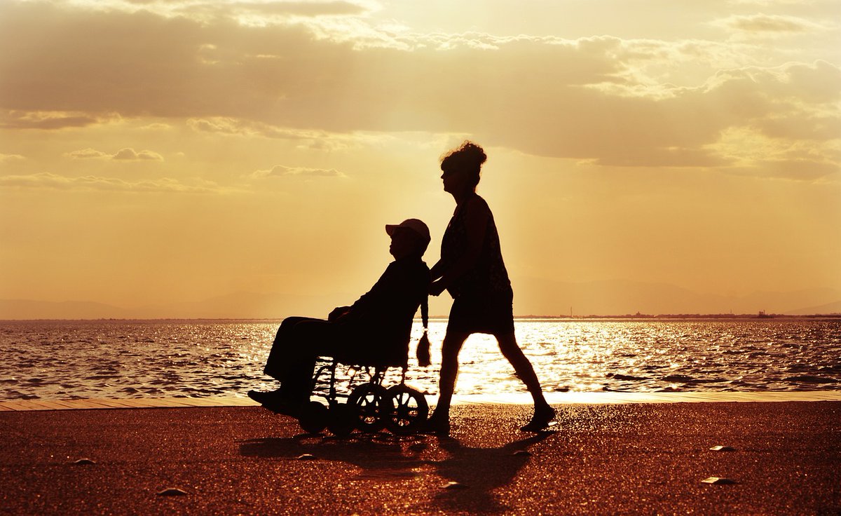 Travel to Wellness tweet media