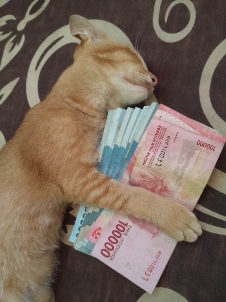 definisi : memeluk kekayaan