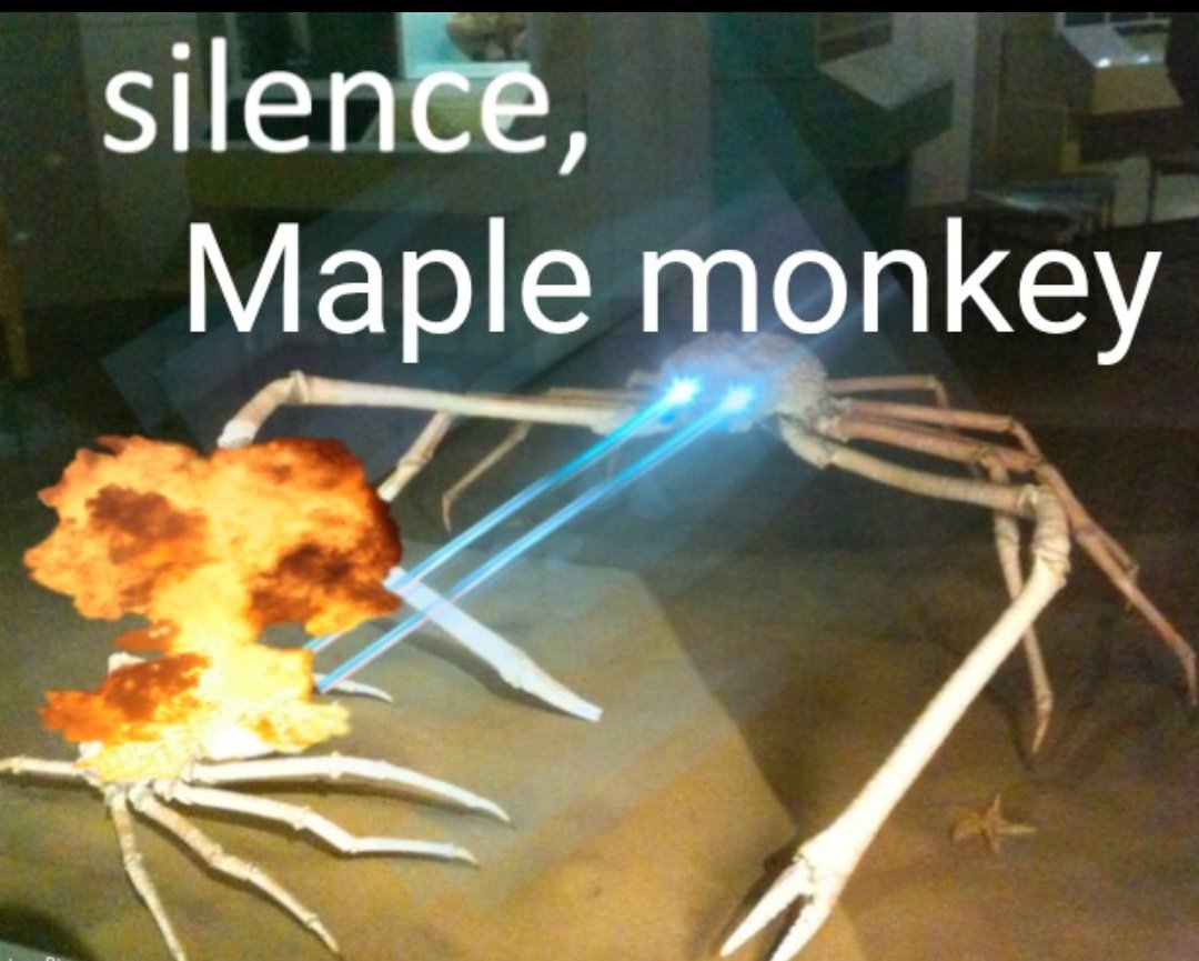 UT Firearms enthusiast tweet media