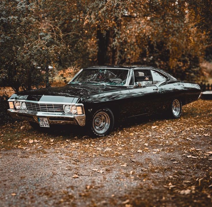 The Notorious tweet media