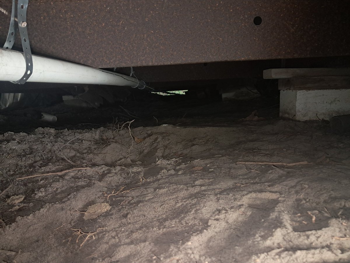 Tyler Free | AI Sculpter tweet media