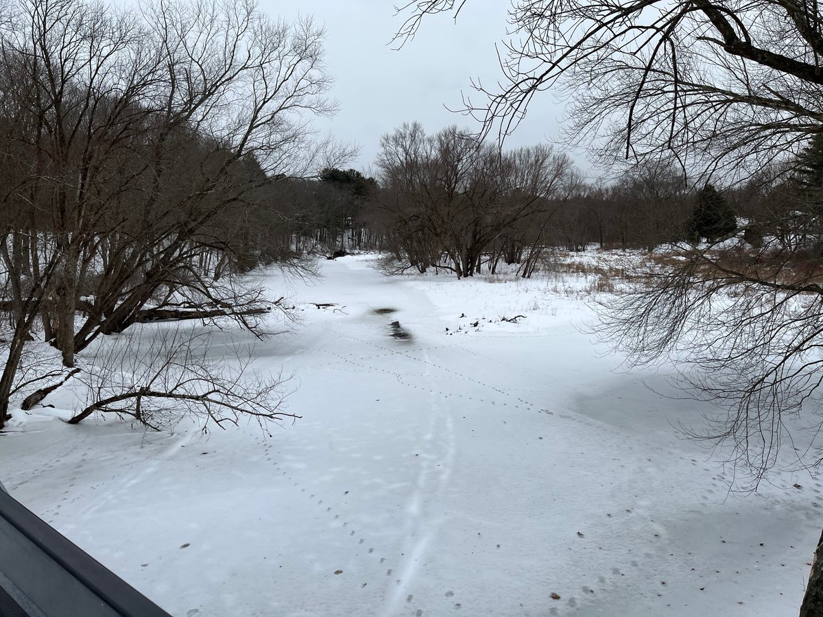 Mary Halm Small tweet media