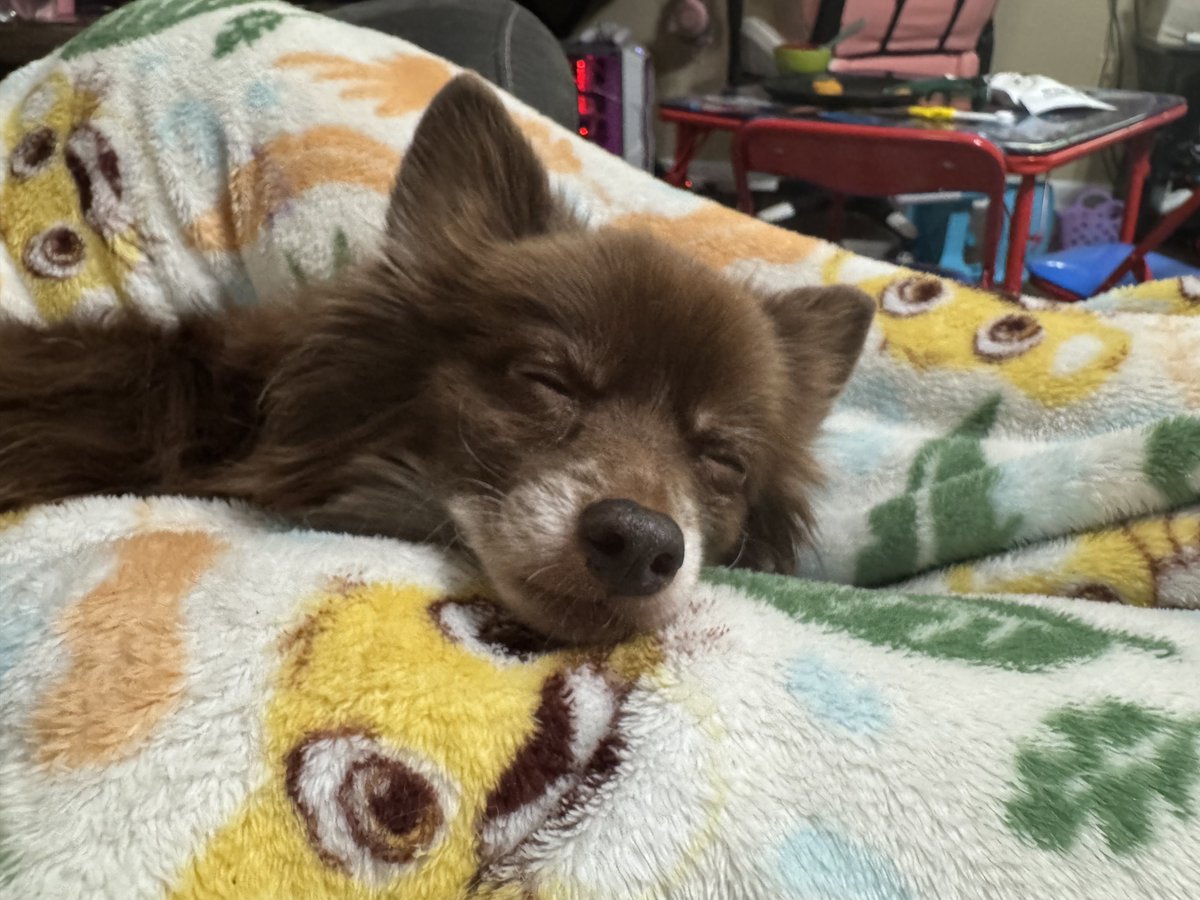 ♡ Tayy ♡ 🔜 Pop Off! tweet media