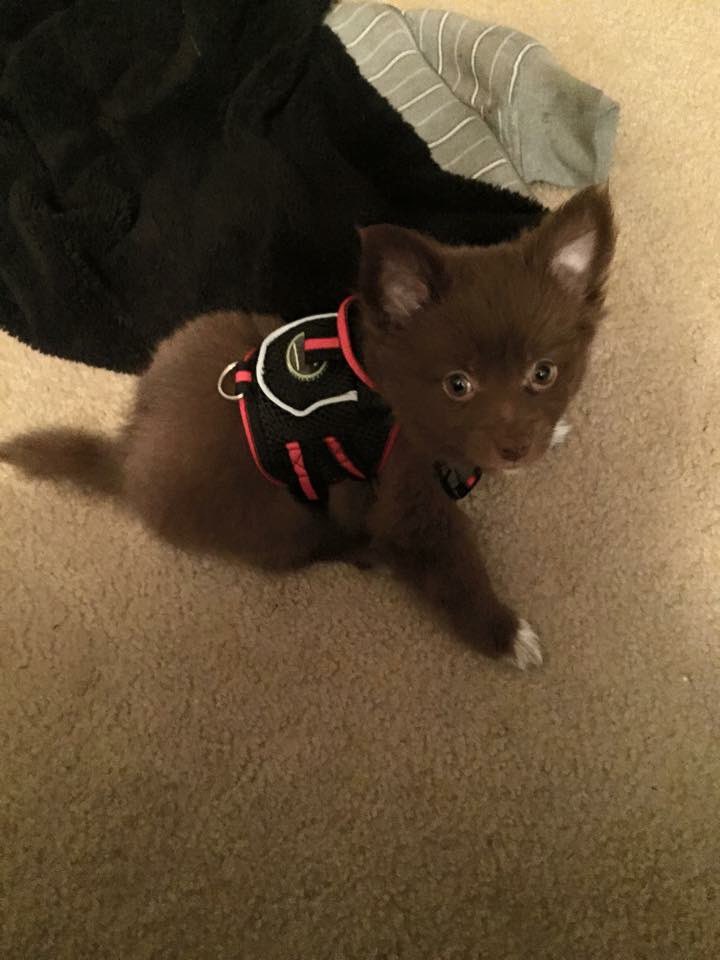 ♡ Tayy ♡ 🔜 Pop Off! tweet media