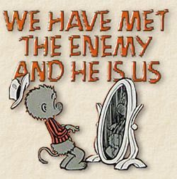 Pogo is as meaningful now as it was in 1971.