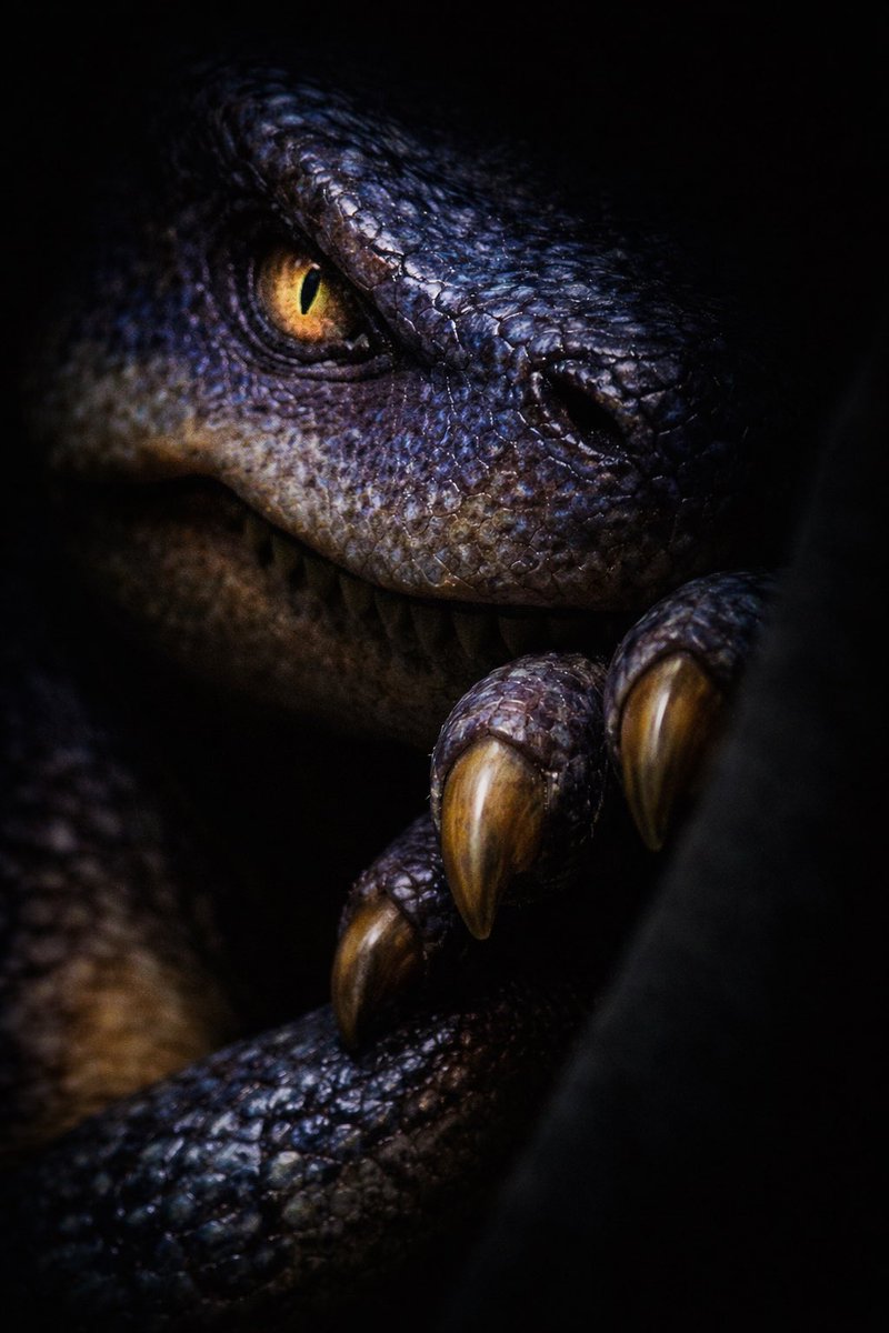 itsgary👽.eth tweet media