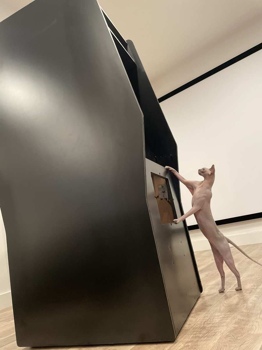 Patrick Collins @5754 🎹₿ 🕹️👾 tweet media