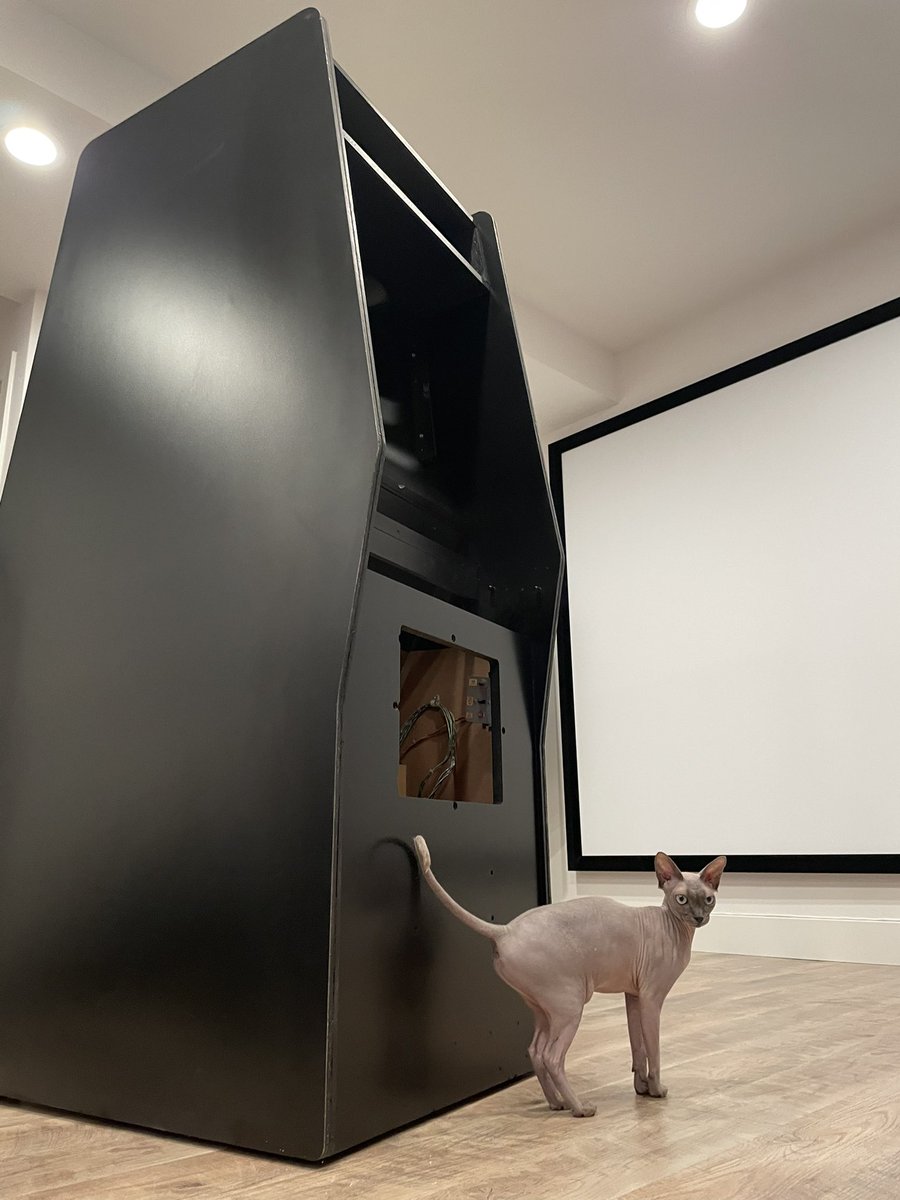 Patrick Collins @5754 🎹₿ 🕹️👾 tweet media