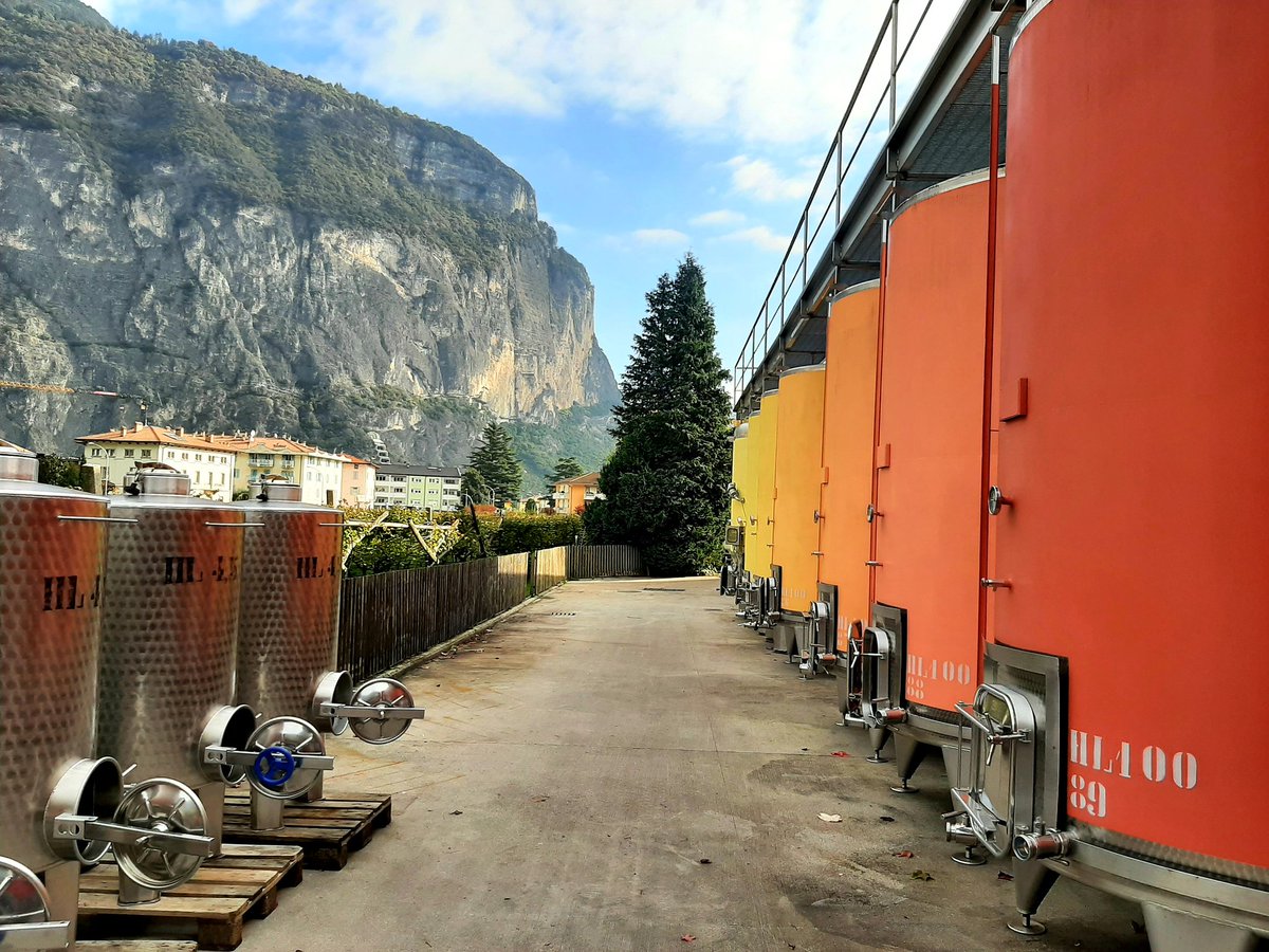 Michael Collins tweet media