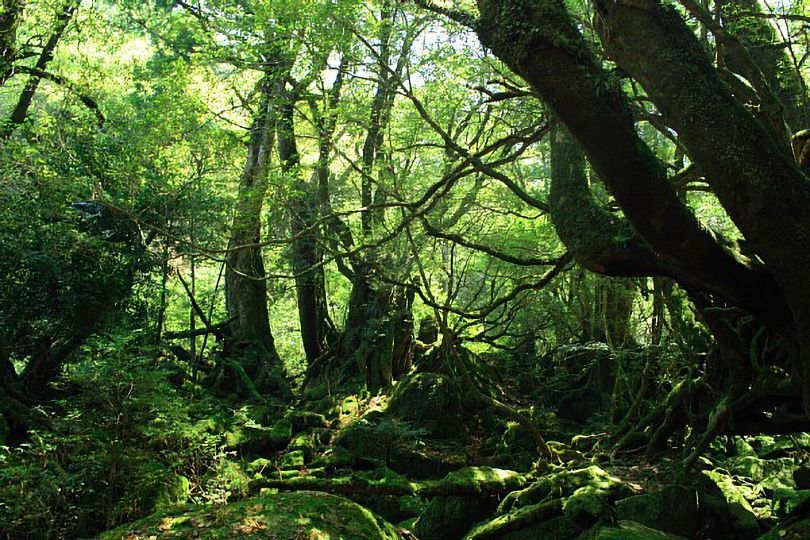 迷い込んだら、最後。 
ジブリの世界観に溶け込む日本の絶景

【北海道】然別湖（千と千尋）
【青森県】盛美園（アリエッティ）
【山形県】銀山温泉（千と千尋）
【群馬県】四万温泉 積善館（千と千尋）
【埼玉県】狭山丘陵 トトロの森（トトロ）
【東京都】江戸東京たてもの園（千と千尋）
