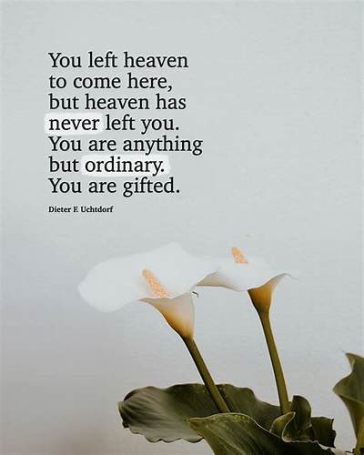 “Oh, how I wish I could embrace you and help you understand this great truth: You are a blessed BEINGS OF LIGHT, the spirit child of an infinite God! 

And you bear within you a potential BEYOND your own capacity to imagine!

Your origin story is divine, and so is your destiny.
