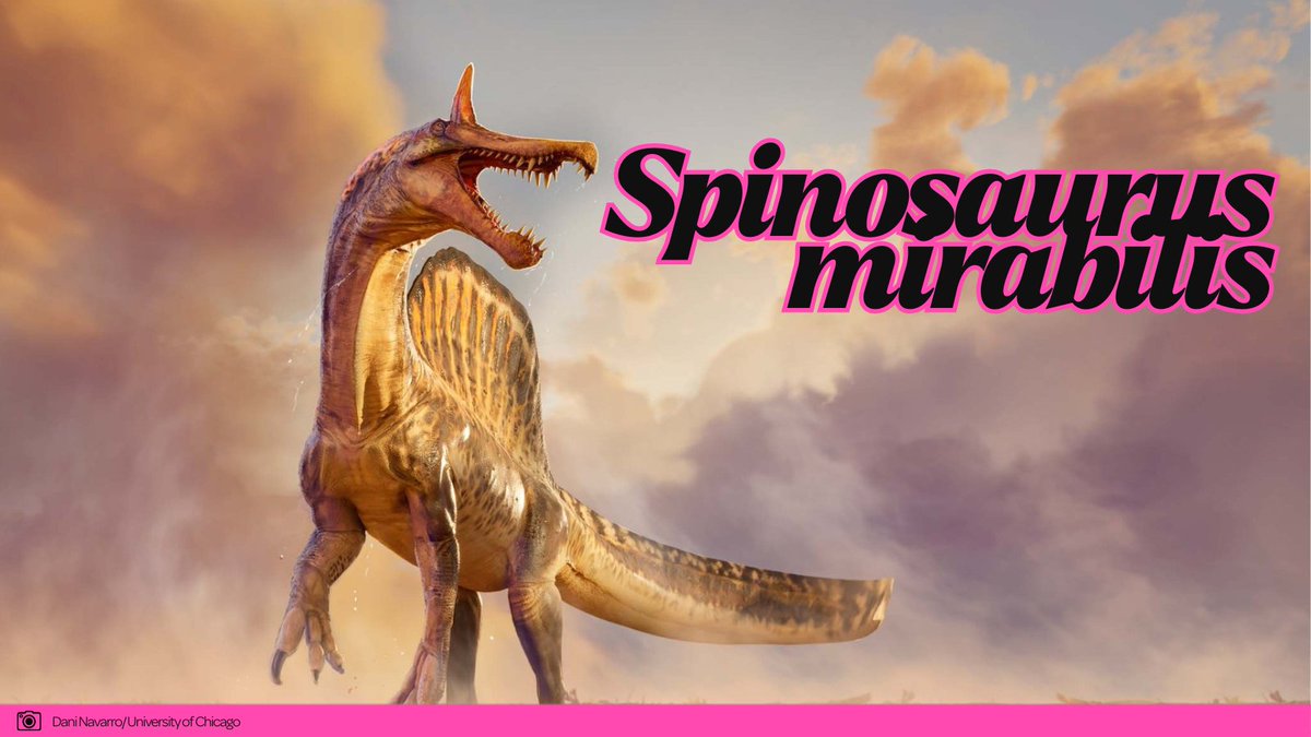 Guerilla Science tweet media