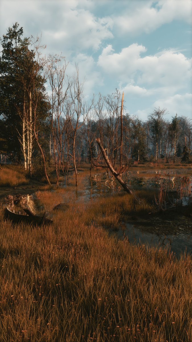 ZeroKing tweet media