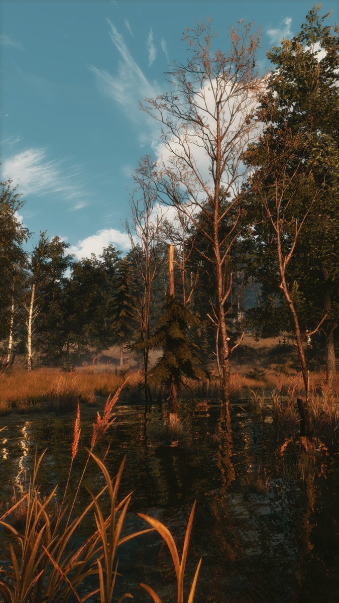 ZeroKing tweet media