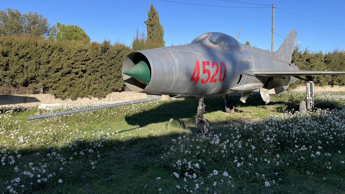 Alejandro De Prado tweet media