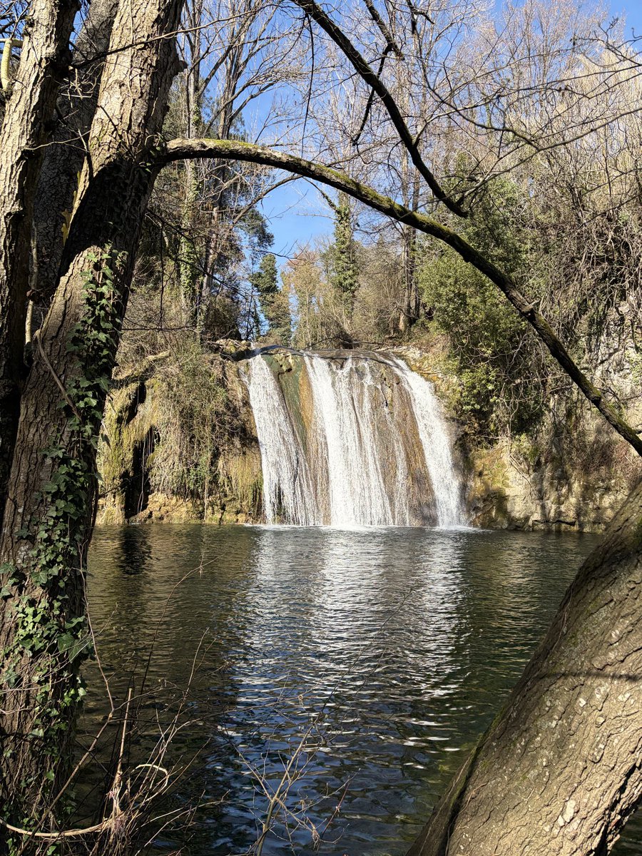 annvil71's tweet photo. No cal anar gaire lluny d’aquí…
#Gorgs #LaGarrotxa https://t.co/pyMuPI1oXB