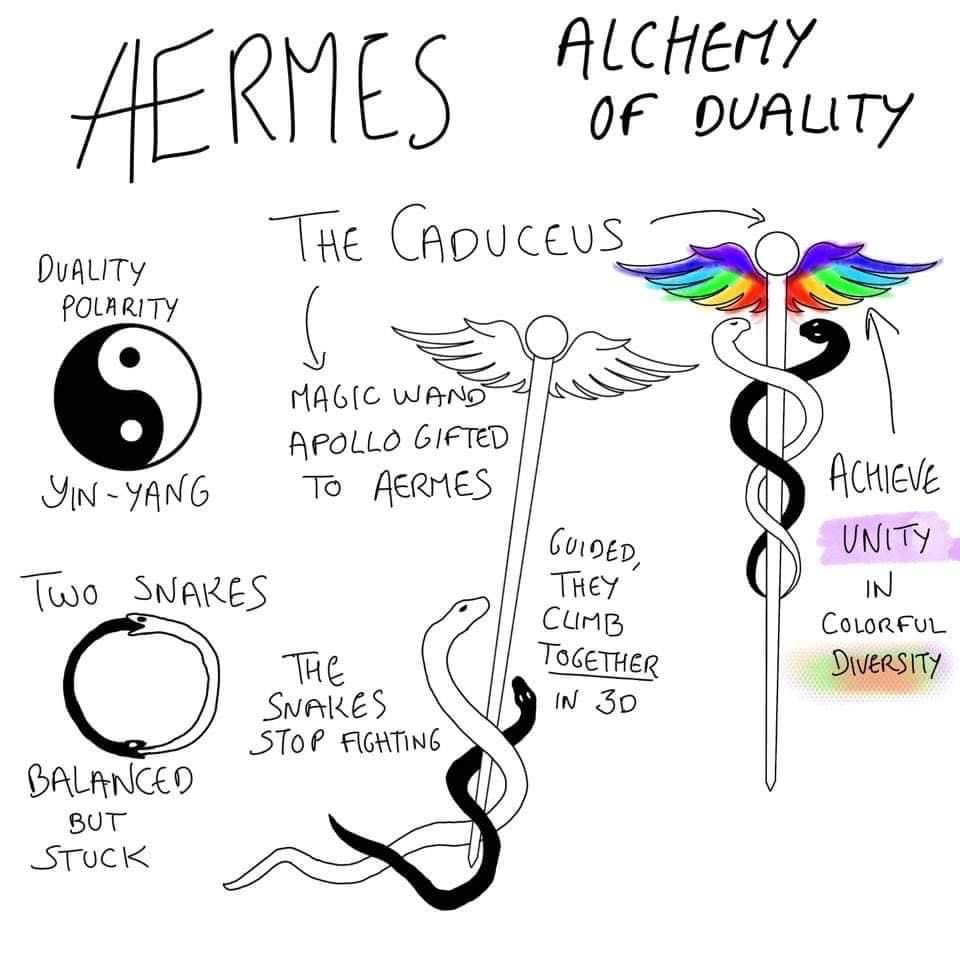 Medusa🐍🪞 tweet media